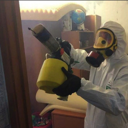 Уничтожение клопов в квартире. ЦСКА